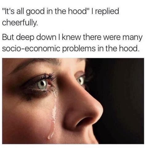 It’s really not all good in the hood : r/memes