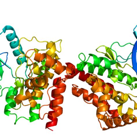 JAK2-Mutation-Analysis-Test-Symptoms-Treatment - Alexandria’s Genesis