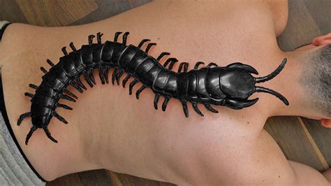 10+ House Centipede Bite Pictures | Basdemax