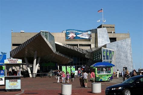 The Boston Aquarium | New england aquarium, Summer travel, Favorite city