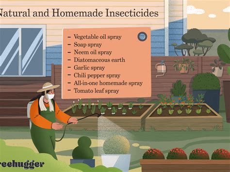 Organic Pesticides for the Organic Garden: 7 Natural Pesticides ...