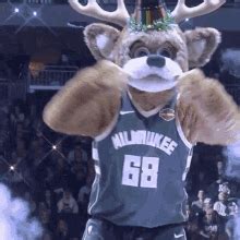 Go Bucks GIFs | Tenor