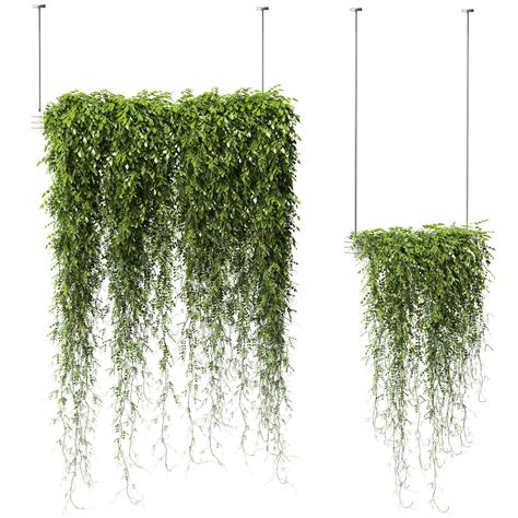 Plants in Hanging Planters v2 - 2 models 3D model | CGTrader