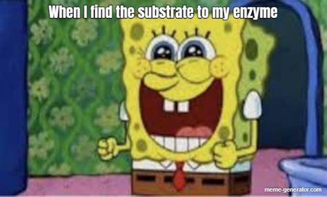 When I find the substrate to my enzyme - Meme Generator