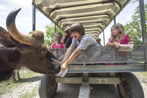 Bayou Wildlife Zoo, with its 500-plus animals on 86 acres, is for sale ...