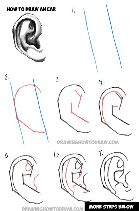 How To Draw Realistic Ears