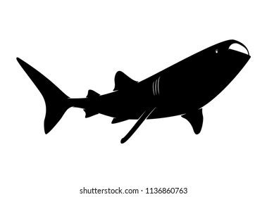 Silhouette Animal Whale Shark On White Stock Vector (Royalty Free ...