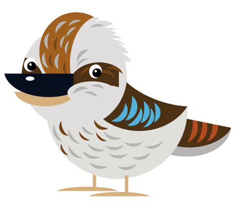 Kookaburra Illustrations, Royalty-Free Vector Graphics & Clip Art - iStock