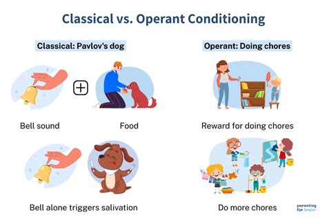 Classical vs. Operant Conditioning: Differences and Similarities ...