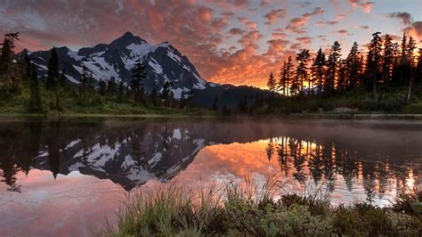 Beautiful Nature Wilderness - MAXIPX