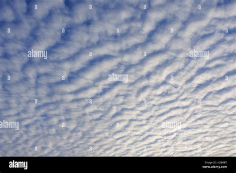 Stripy cloud formation, mackerel sky (Stratocumulus undulatus), Lower ...