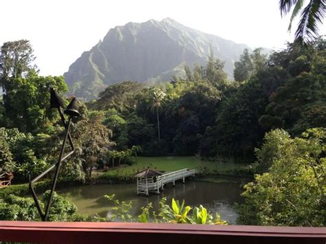 Haleiwa Joe's at Haiku Gardens, Kaneohe, Rest of Hawaii | Zomato