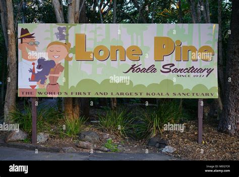 The Lone Pine Koala Sanctuary, the oldest and largest koala sanctuary ...