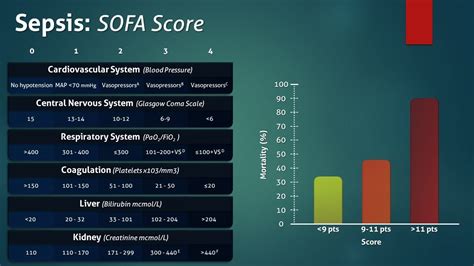 Sofa Sepsis | Review Home Co