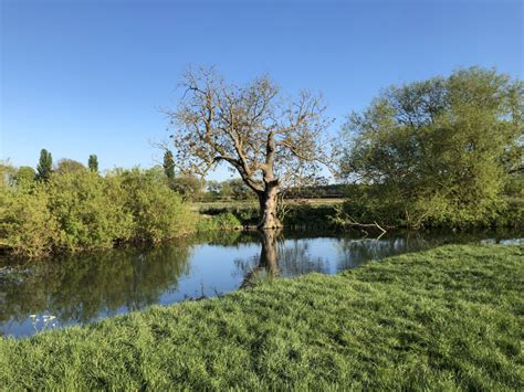 Grantchester Meadows, Cambridge – Vanguard Online