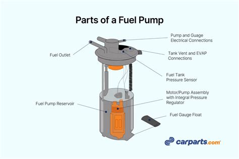 Where is the Fuel Pump Located? - In The Garage with CarParts.com