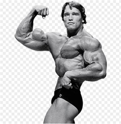 Arnold Schwarzenegger Png File - Arnold PNG Transparent With Clear ...