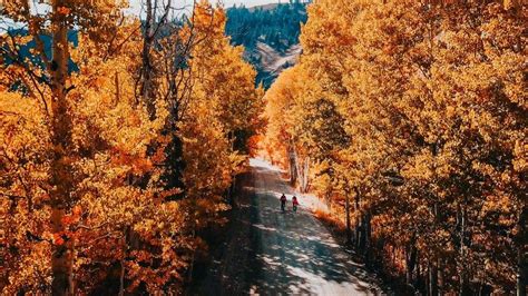 Experience Fall in Idaho: Attractions, Activities & Trip Ideas