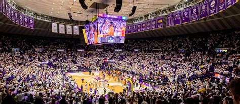 LSU Tigers Womens Basketball Tickets - 2023-2024 LSU (Women) Games ...