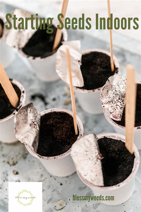 Starting Seeds Indoors: Hacks, DIY, Containers, Tips, Eggshells