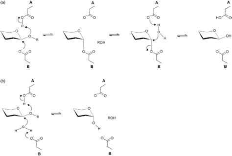 Glycosidic bond hydrolysis by GH via (a) retaining and (b) inverting ...