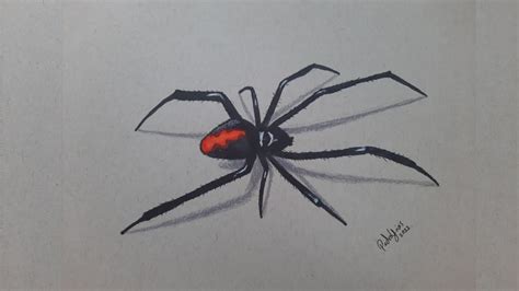 Cómo Dibujar Una Araña Realista Super fácil - YouTube