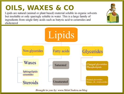 Lipids Classification