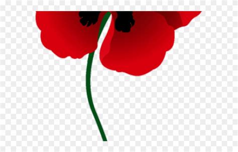 Free Red Poppy Cliparts, Download Free Red Poppy Cliparts png images ...