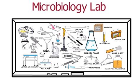 A tour of Microbiology Lab (for Freshers) - YouTube