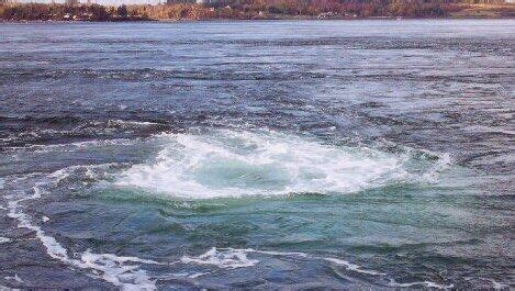 Old Sow Whirlpool in 2021 | Deer island, Whirlpool, Eastport