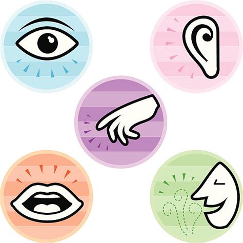 Five Senses Clip Art For Kids