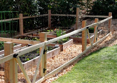 20 things to know about Vegetable garden fence chicken wire | Interior ...