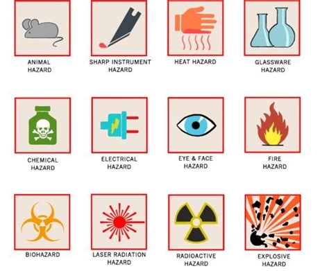 Online Quiz:The Lab Safety Symbols