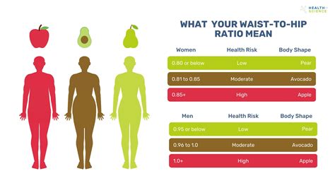 Use Our Hip Waist Ratio Chart | How to get 0.7 Waist to Hip Ratio