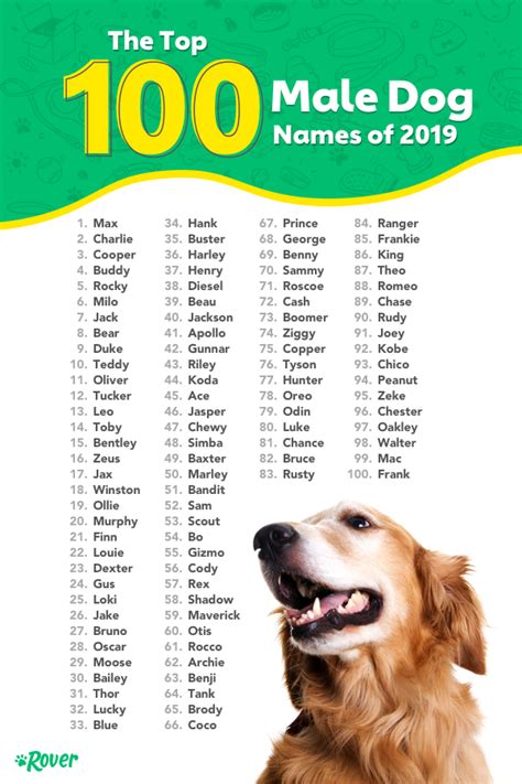 The Top 100 Male Dog Names of 2019 | Dog names, Dog names male, Best ...