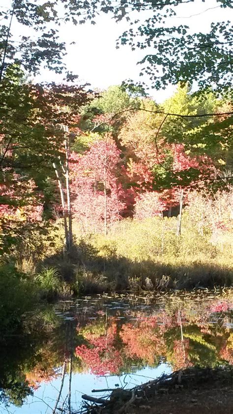 Hidden Valley Nature Center - Maine Trail Finder