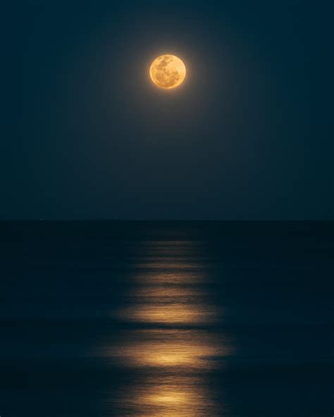 Blessings of the Harvest Moon — Urban Sacred Garden