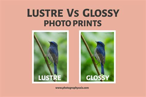 Lustre Vs Glossy- Which is Best for Photo Prints? - PhotographyAxis