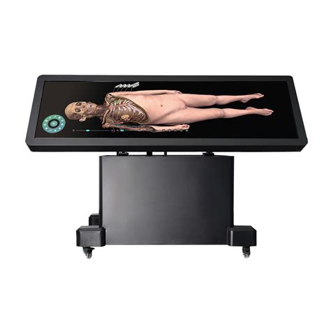 Corps en 3D′AUTOPSIE virtuelle Anatomage Table, table de dissection ...