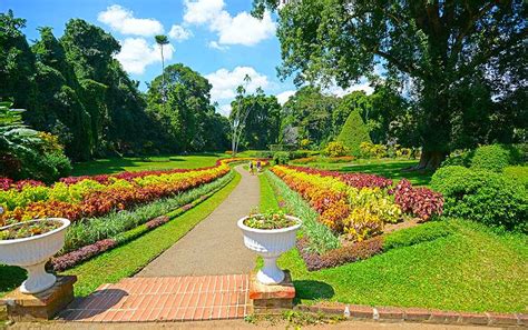 Royal Botanical Gardens, Peradeniya | Timings, Entrance Fee, History ...