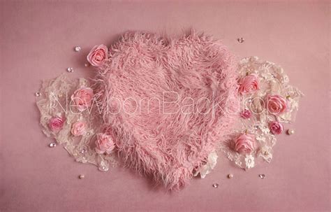 Newborn Digital Backdrop. Pink Newborn Backdrop Floral - Etsy Canada ...