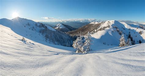 Soriška Planina Ski Resort在Savica