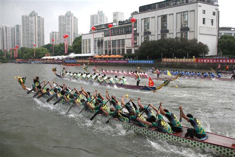 Dragon boat races held across the city - SHINE News