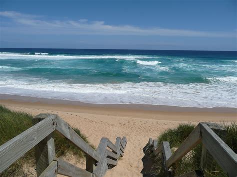 Phillip Island Beaches - Everything You Need To Know | Beach, Island ...