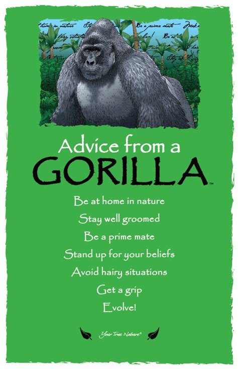 Advice from a Gorilla Frameable Art Postcard | Advice, Gorilla, Advice ...