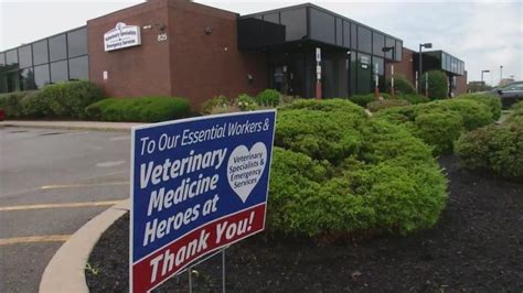 In-Depth: Rochester's only 24-hour animal hospital to start closing ...