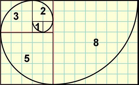 Fibonacci Sequence | Fibonacci spiral, Fibonacci, Sacred geometry art ...