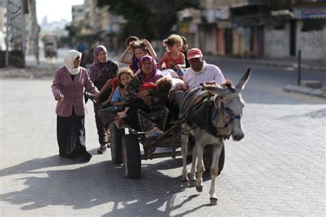 Palestinians Flee Northern Gaza as a Cease-Fire Appears Elusive - The ...