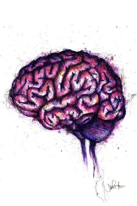 Cool brain art pink watercolor ink brain office art etsy – Artofit