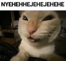 GIF-файлы по теме "Evil Cat Laugh" | Tenor